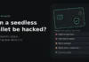 Can a Seedless Wallet Be Hacked